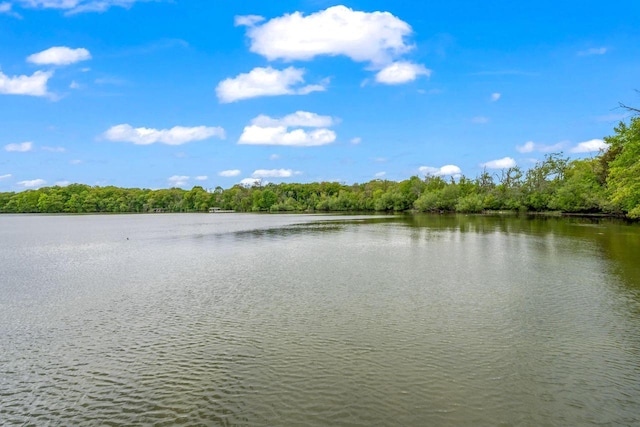 2937 N Mill Rd, Oconomowoc, WI 53066 - water view featuring a heavily wooded area