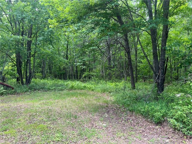 7968 County Road F, Danbury, WI 54830 - view of woods