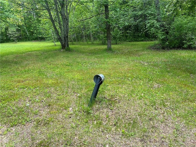 7968 County Road F, Danbury, WI 54830 - view of yard with a forest view