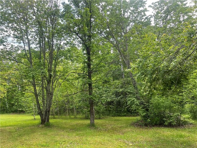7968 County Road F, Danbury, WI 54830 - view of woods
