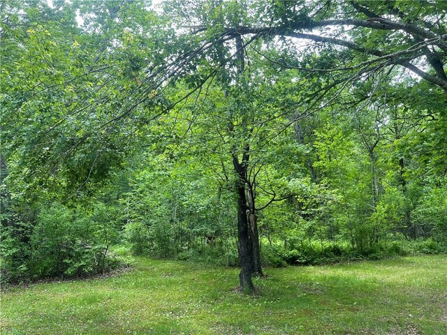 7968 County Road F, Danbury, WI 54830 - view of woods