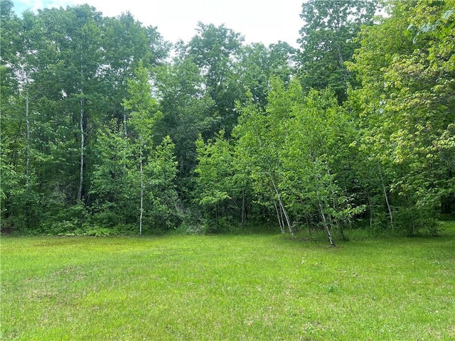 7968 County Road F, Danbury, WI 54830 - view of yard