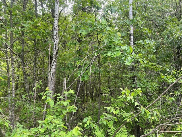 7968 County Road F, Danbury, WI 54830 - view of woods