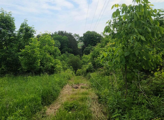 4.07AC Little Bear Rd, Spring Green, WI 53588