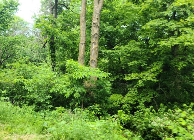 4.07AC Little Bear Rd, Spring Green, WI 53588