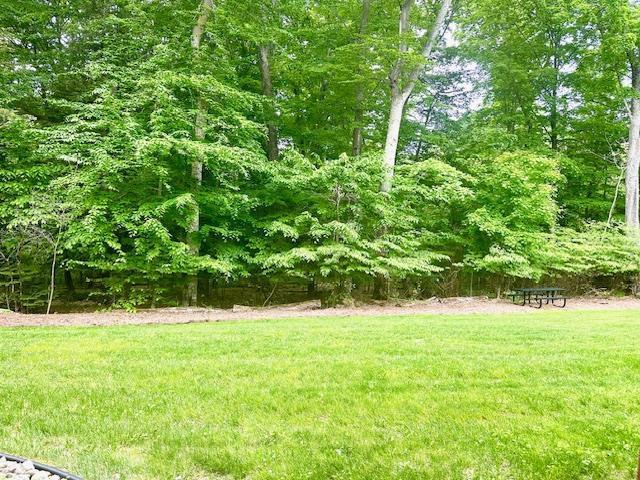 7741 State Highway 42 Unit 105, Egg Harbor, WI 54209 - view of green lawn