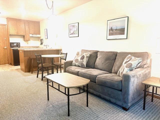 7741 State Highway 42 Unit 105, Egg Harbor, WI 54209 - living room with light carpet