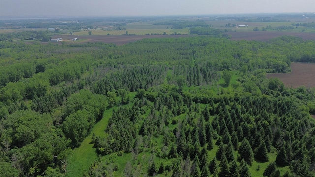 Lone Elm Rd, Van Dyne, WI 54979