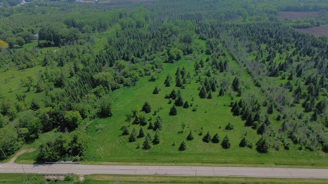 Lone Elm Rd, Van Dyne, WI 54979