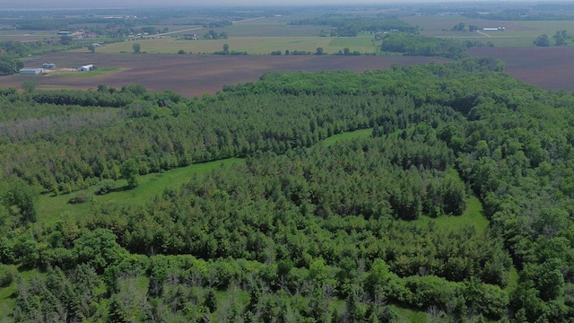 Lone Elm Rd, Van Dyne, WI 54979