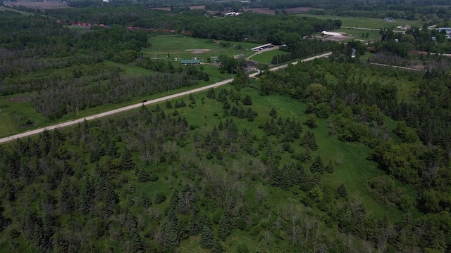 Lone Elm Rd, Van Dyne, WI 54979