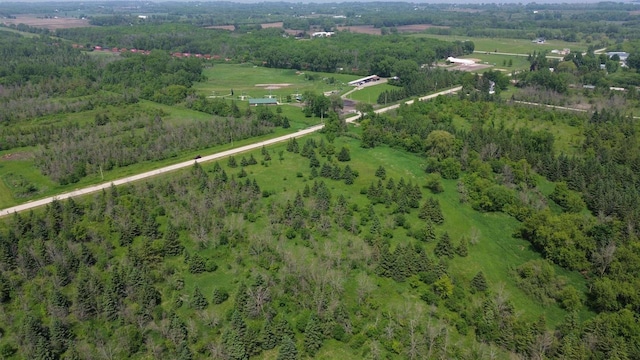 Lone Elm Rd, Van Dyne, WI 54979