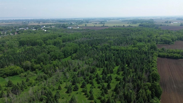 Lone Elm Rd, Van Dyne, WI 54979