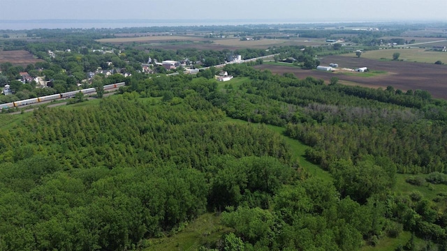Lone Elm Rd, Van Dyne, WI 54979