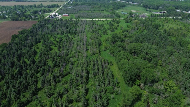 Lone Elm Rd, Van Dyne, WI 54979