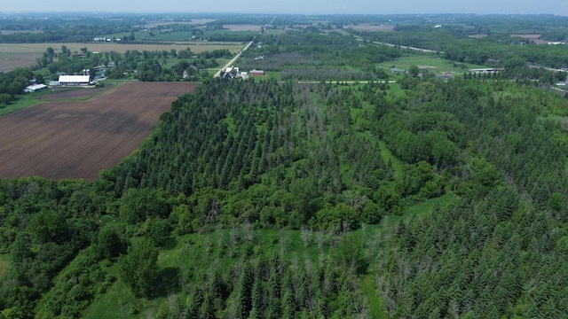 Lone Elm Rd, Van Dyne, WI 54979
