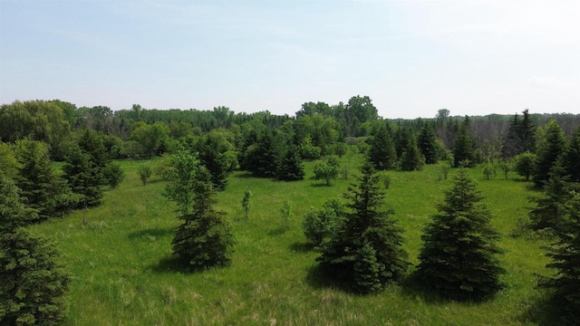 Lone Elm Rd, Van Dyne, WI 54979