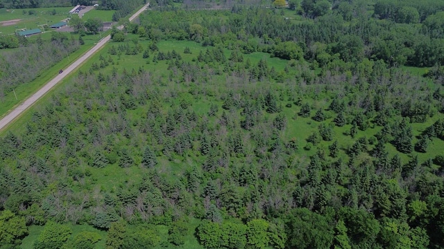 Lone Elm Rd, Van Dyne, WI 54979