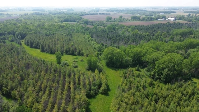 Lone Elm Rd, Van Dyne, WI 54979