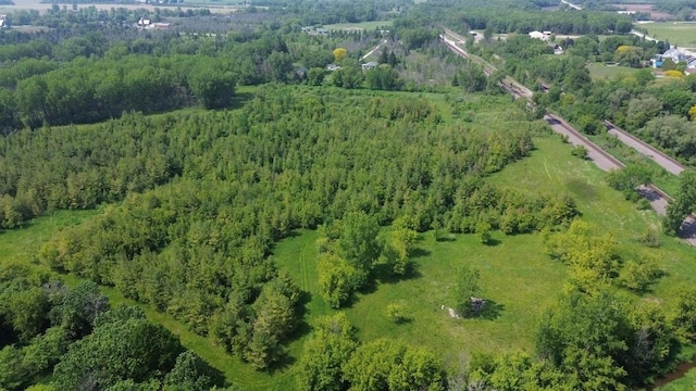 Lone Elm Rd, Van Dyne, WI 54979