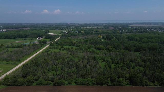 Lone Elm Rd, Van Dyne, WI 54979