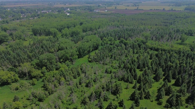 Lone Elm Rd, Van Dyne, WI 54979