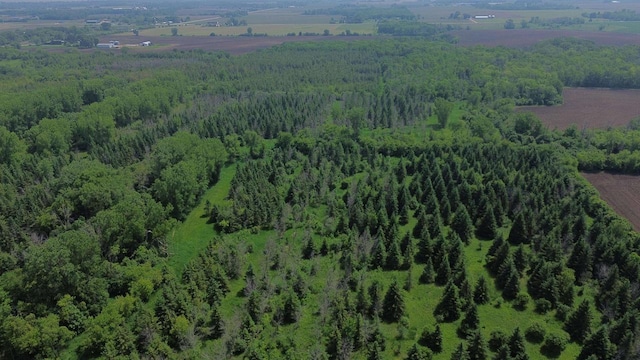 Lone Elm Rd, Van Dyne, WI 54979