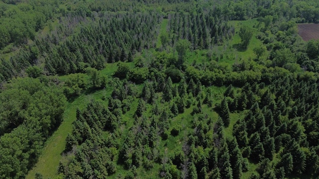 Lone Elm Rd, Van Dyne, WI 54979