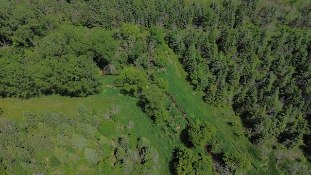 Lone Elm Rd, Van Dyne, WI 54979