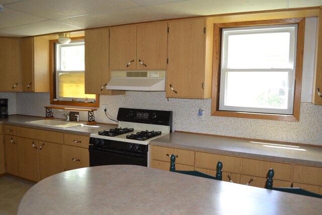 355 N Main St, Fond Du Lac, WI 54935 - kitchen with range with gas stovetop, exhaust hood, a sink, and backsplash