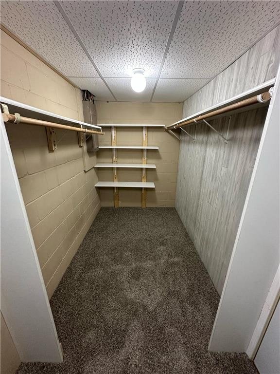 332 E Pleasant Ave, Ellsworth, WI 54011 - spacious closet featuring a paneled ceiling and carpet floors