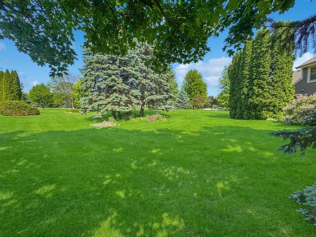 N49W31242 Old Steeple Rd, Hartland, WI 53029 - view of green lawn