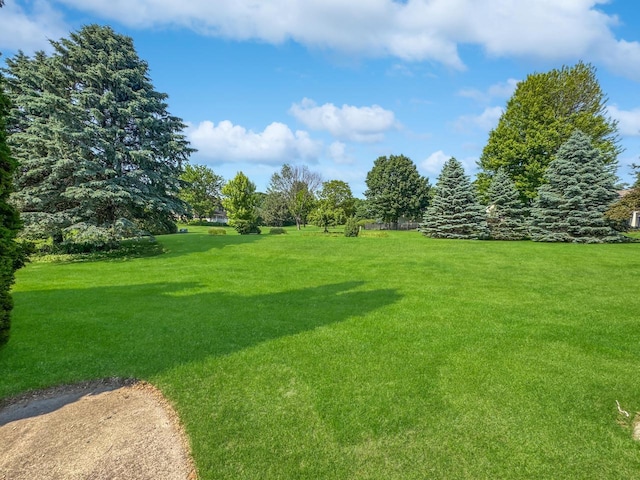 N49W31242 Old Steeple Rd, Hartland, WI 53029 - view of grassy yard