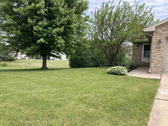 903 Rumley Run, Deforest, WI 53532 - view of grassy yard