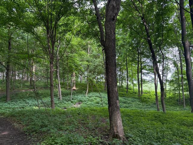 LOT1 Wolf Rd, Monroe, WI 53566