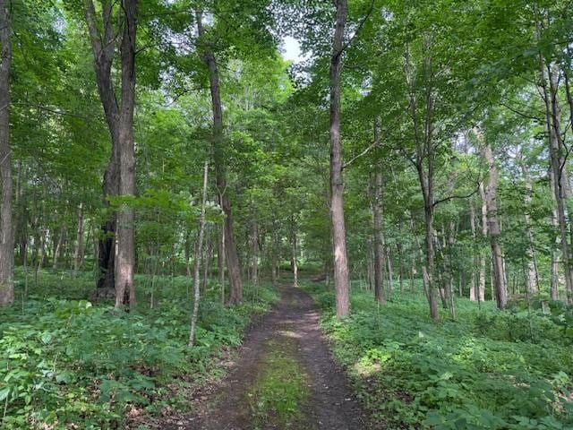 LOT1 Wolf Rd, Monroe, WI 53566