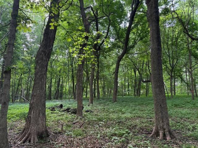 LOT1 Wolf Rd, Monroe, WI 53566