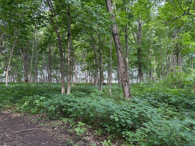 LOT1 Wolf Rd, Monroe, WI 53566