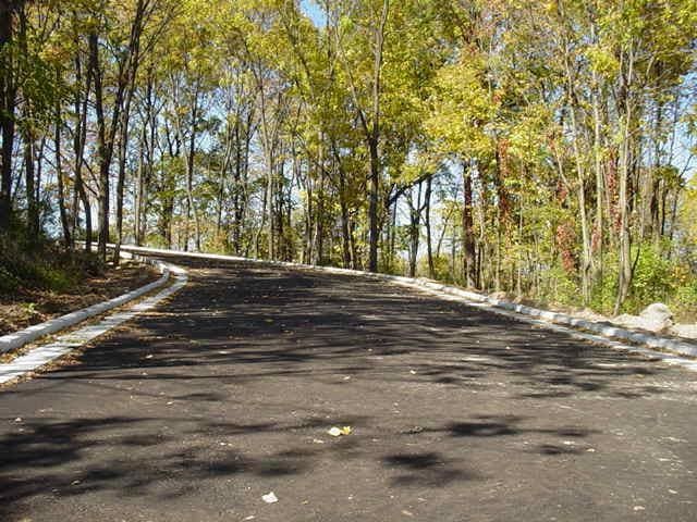 225 Whitetail Ln Unit 28, Deerfield, WI 53531 - view of street with curbs