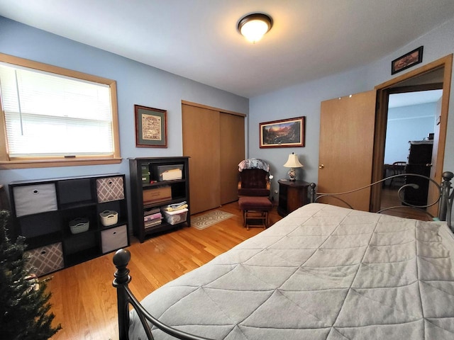3843 S 95th St, Milwaukee, WI 53228 - bedroom with wood finished floors and a closet