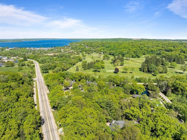 840 Woodland Ct Unit Ee-1, Fontana, WI 53125 - aerial view of a large body of water