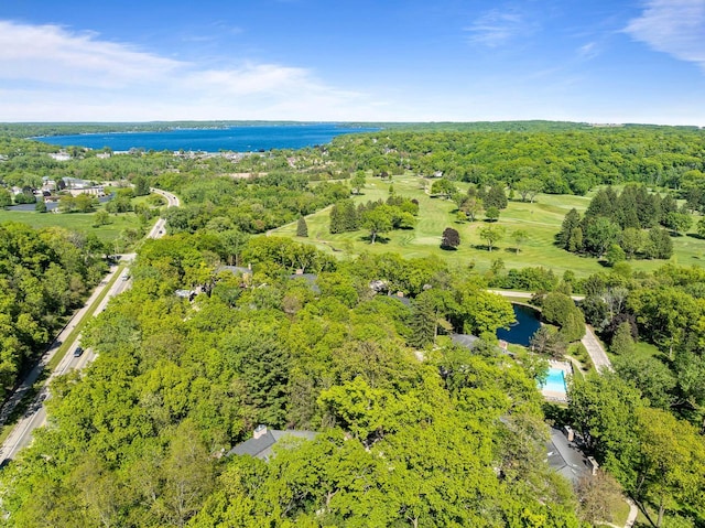 840 Woodland Ct Unit Ee-1, Fontana, WI 53125 - drone / aerial view of a nearby body of water, a forest, and a pool