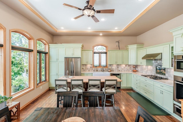 5420 W Peninsula Dr, Waterford, WI 53185 - kitchen with green cabinets, appliances with stainless steel finishes, light countertops, extractor fan, and recessed lighting