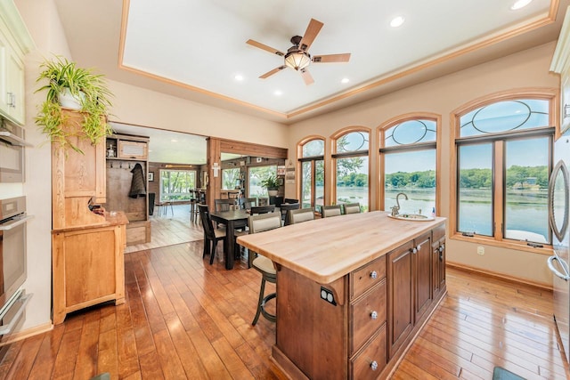 5420 W Peninsula Dr, Waterford, WI 53185 - kitchen featuring wood counters, a sink, light wood-style floors, a tray ceiling, and ceiling fan