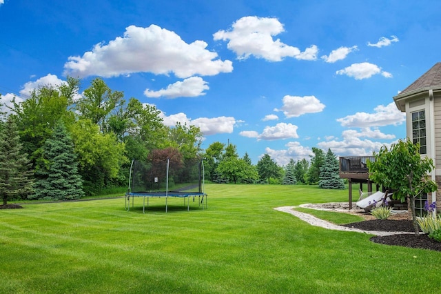 1252 Mary Hill Cir, Hartland, WI 53029 - view of green lawn with a trampoline and a deck