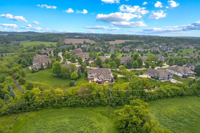 1252 Mary Hill Cir, Hartland, WI 53029 - aerial view of residential area