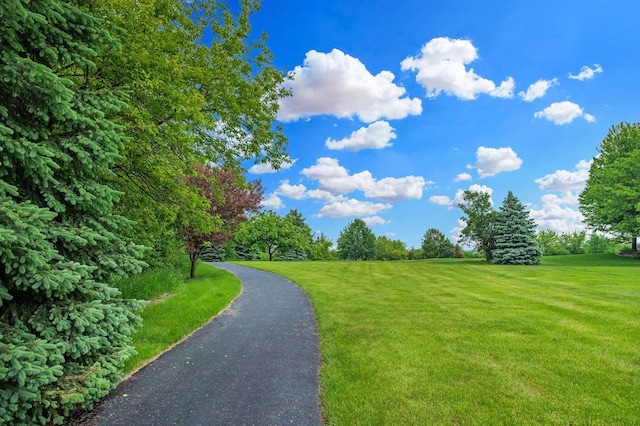 1252 Mary Hill Cir, Hartland, WI 53029 - surrounding community with a yard