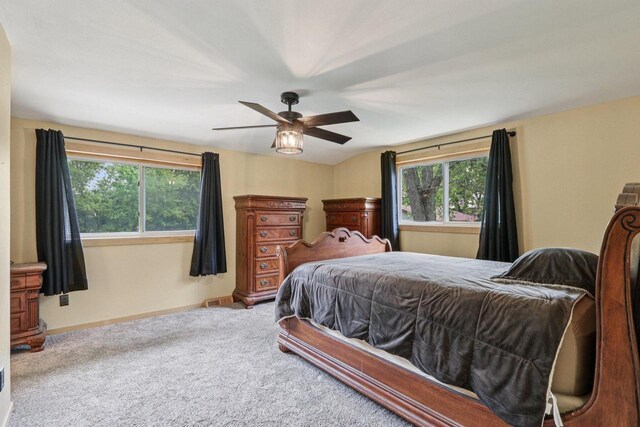 8845 388th Ave, Burlington, WI 53105 - bedroom featuring multiple windows, carpet floors, and ceiling fan