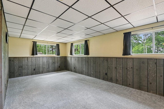 8845 388th Ave, Burlington, WI 53105 - unfurnished room featuring wainscoting, wooden walls, a drop ceiling, and carpet