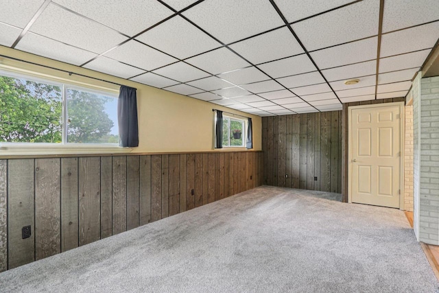 8845 388th Ave, Burlington, WI 53105 - basement featuring wood walls, a drop ceiling, carpet flooring, and wainscoting